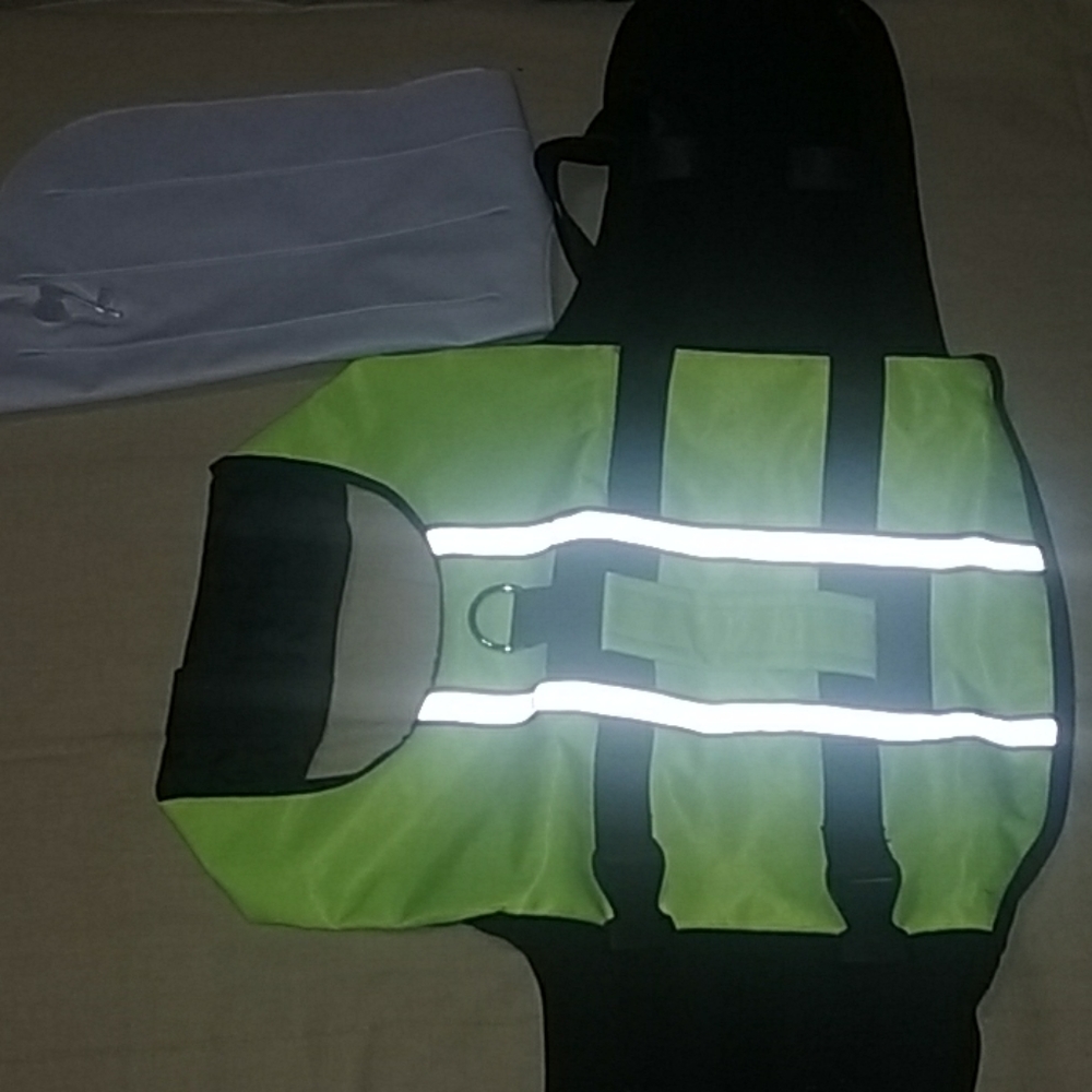 DOG SWIM VEST - Picture 2 of 8